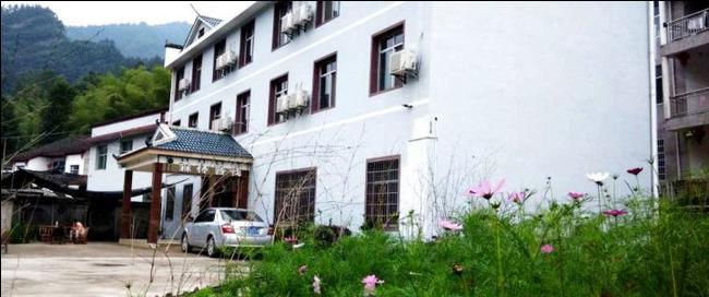 شقة زانغجياجي  في زانججياجي فوريست إن المظهر الخارجي الصورة